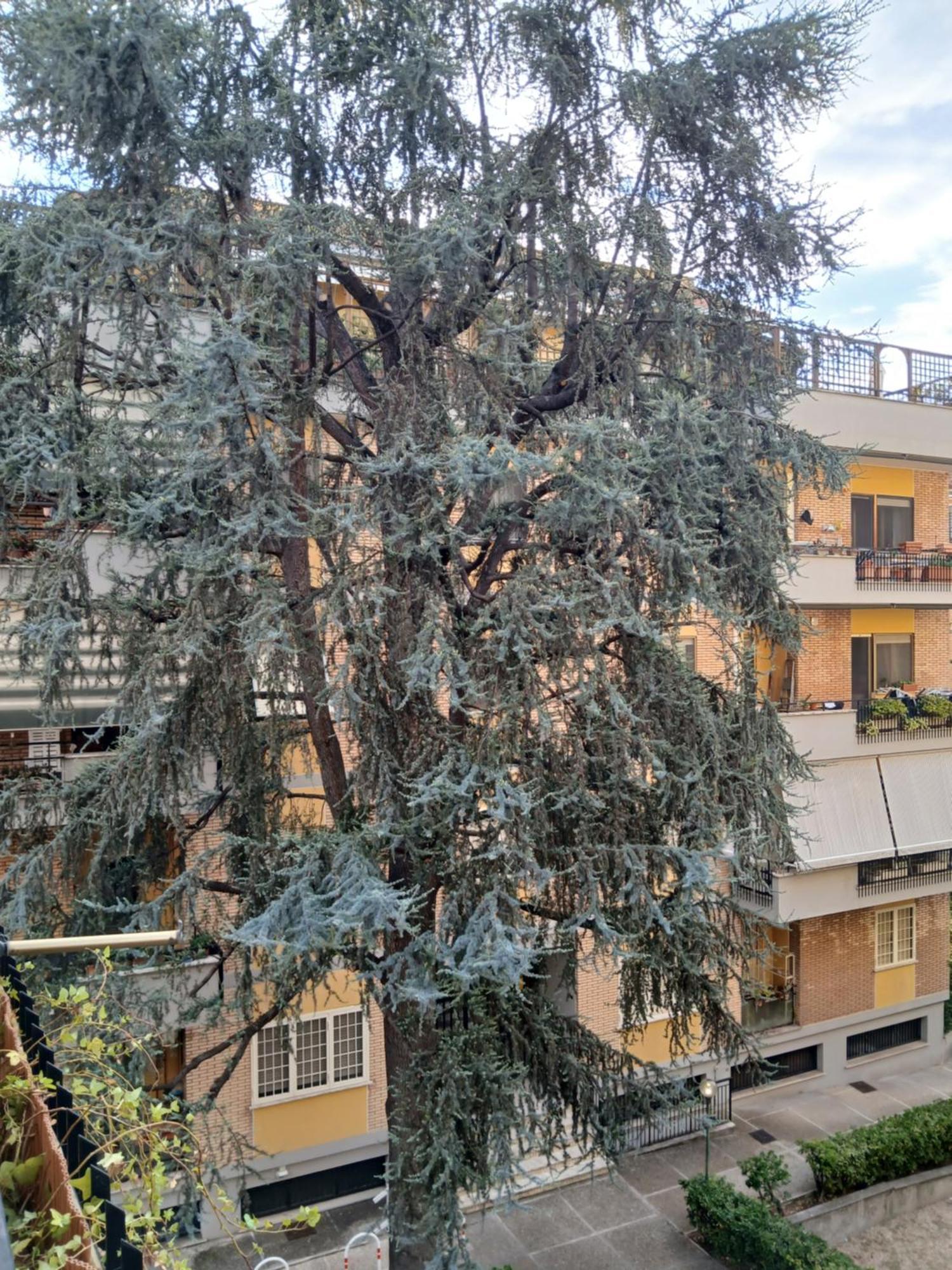 Appartement La Casa Di Antonella E Giuseppe à Rome Extérieur photo