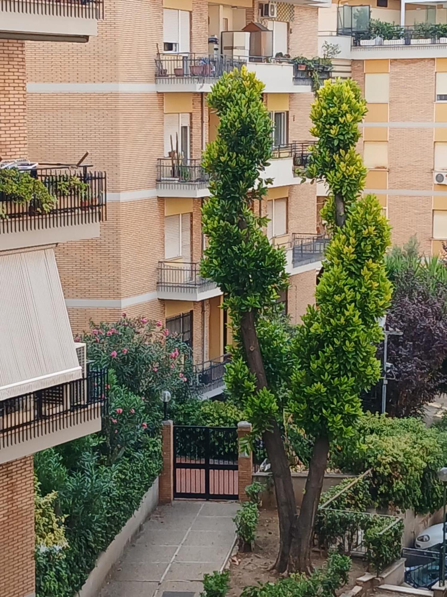 Appartement La Casa Di Antonella E Giuseppe à Rome Extérieur photo